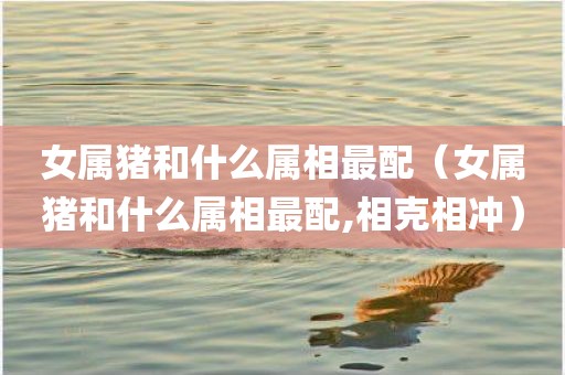 女属猪和什么属相最配（女属猪和什么属相最配,相克相冲）