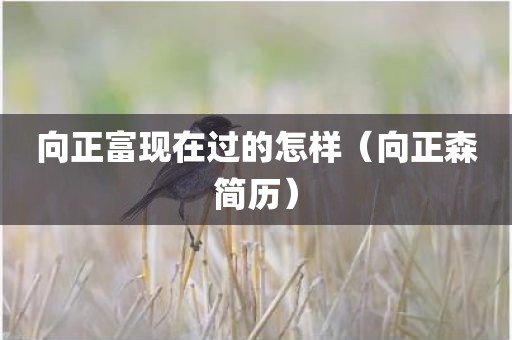向正富现在过的怎样（向正森简历）