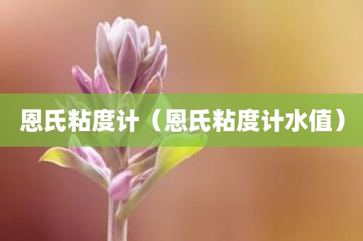 恩氏粘度计（恩氏粘度计水值）