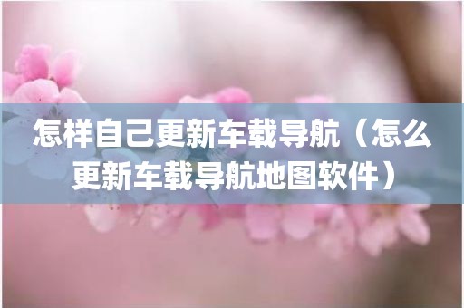 怎样自己更新车载导航（怎么更新车载导航地图软件）