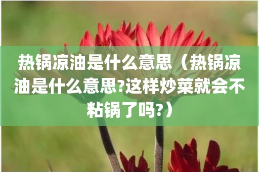 热锅凉油是什么意思（热锅凉油是什么意思?这样炒菜就会不粘锅了吗?）