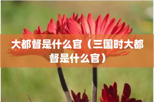 大都督是什么官（三国时大都督是什么官）