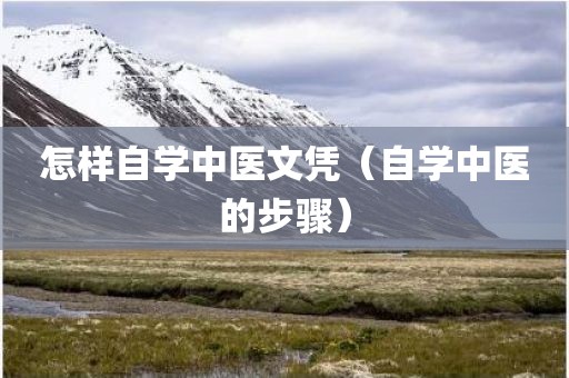 怎样自学中医文凭（自学中医的步骤）