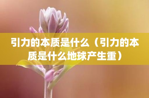 引力的本质是什么（引力的本质是什么地球产生重）