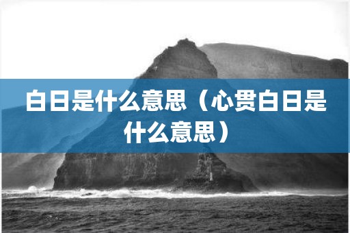 白日是什么意思(心贯白日是什么意思)