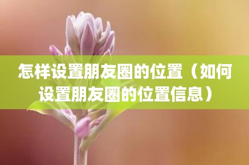 怎样设置朋友圈的位置（如何设置朋友圈的位置信息）
