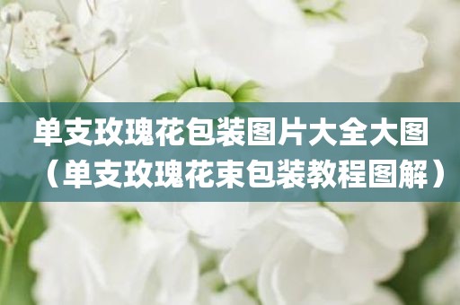 单支玫瑰花包装图片大全大图（单支玫瑰花束包装教程图解）