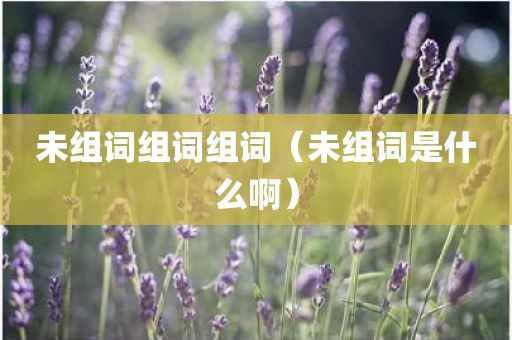 未组词组词组词（未组词是什么啊）