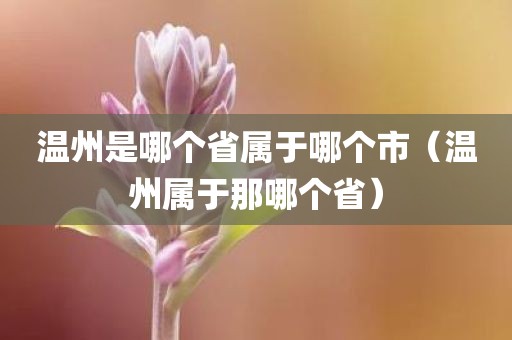 温州是哪个省属于哪个市（温州属于那哪个省）