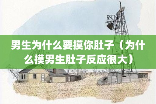 男生为什么要摸你肚子（为什么摸男生肚子反应很大）