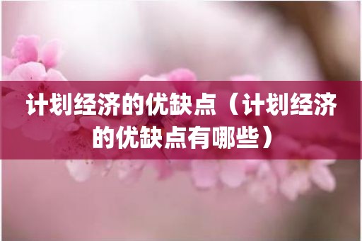 计划经济的优缺点（计划经济的优缺点有哪些）