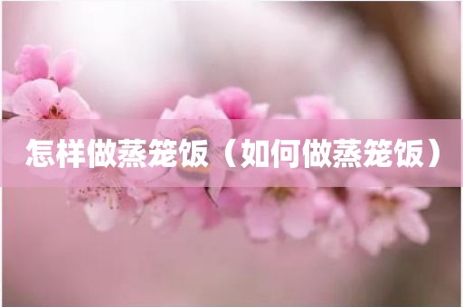 怎样做蒸笼饭（如何做蒸笼饭）