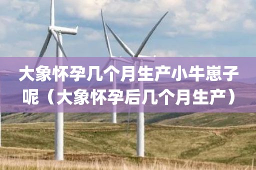 大象怀孕几个月生产小牛崽子呢（大象怀孕后几个月生产）