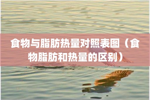 食物与脂肪热量对照表图（食物脂肪和热量的区别）