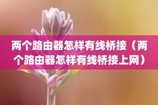 两个路由器怎样有线桥接（两个路由器怎样有线桥接上网）