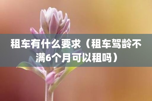 租车有什么要求（租车驾龄不满6个月可以租吗）