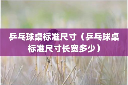 乒乓球桌标准尺寸（乒乓球桌标准尺寸长宽多少）