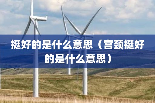 挺好的是什么意思(宫颈挺好的是什么意思)