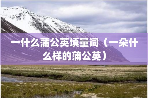 一什么蒲公英填量词（一朵什么样的蒲公英）