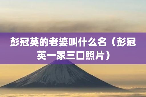 彭冠英的老婆叫什么名（彭冠英一家三口照片）