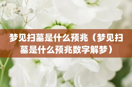 梦见扫墓是什么预兆（梦见扫墓是什么预兆数字解梦）