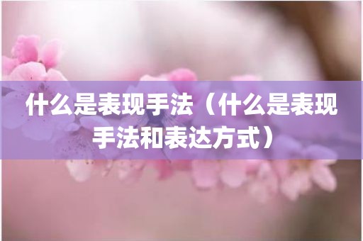 什么是表现手法（什么是表现手法和表达方式）