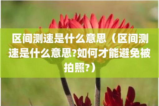 区间测速是什么意思（区间测速是什么意思?如何才能避免被拍照?）