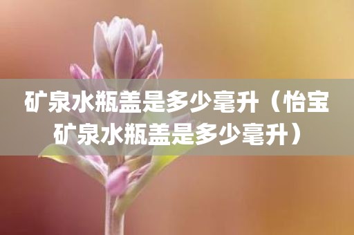 矿泉水瓶盖是多少毫升（怡宝矿泉水瓶盖是多少毫升）