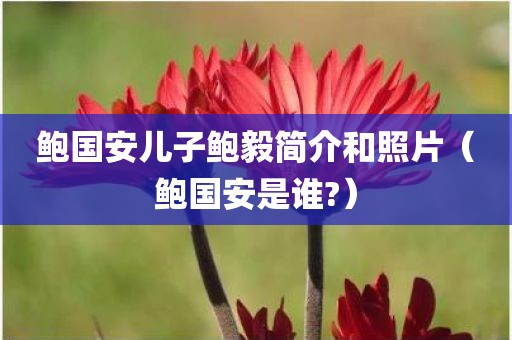 鲍国安儿子鲍毅简介和照片（鲍国安是谁?）