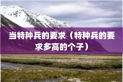 当特种兵的要求（特种兵的要求多高的个子）