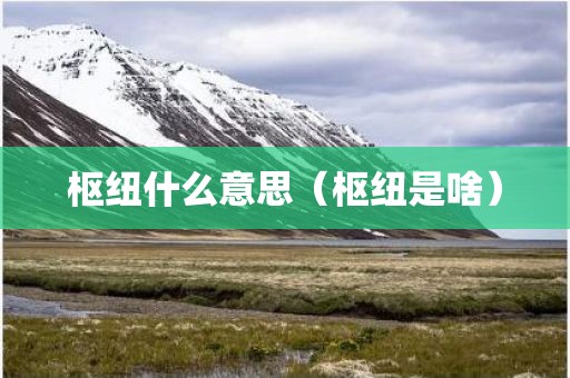 枢纽什么意思（枢纽是啥）