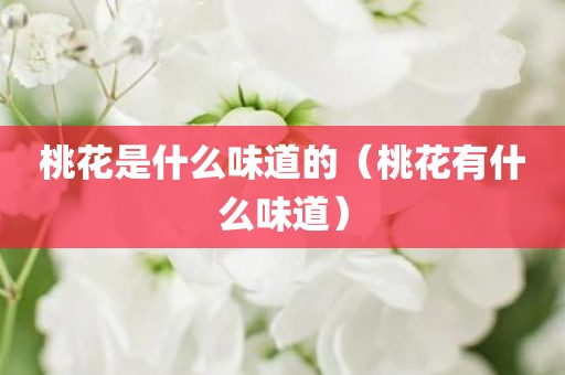 桃花是什么味道的（桃花有什么味道）