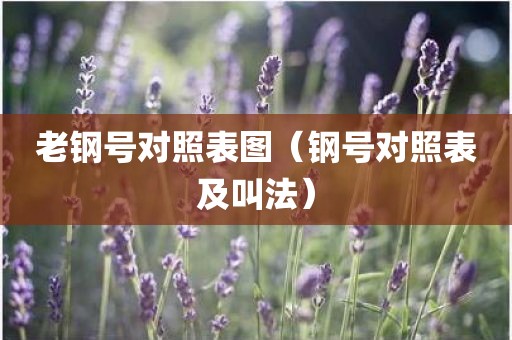 老钢号对照表图（钢号对照表及叫法）