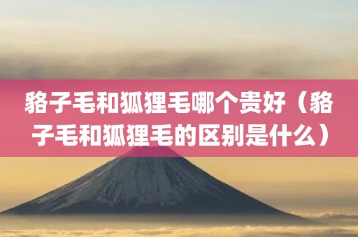 貉子毛和狐狸毛哪个贵好（貉子毛和狐狸毛的区别是什么）