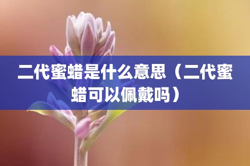 二代蜜蜡是什么意思（二代蜜蜡可以佩戴吗）