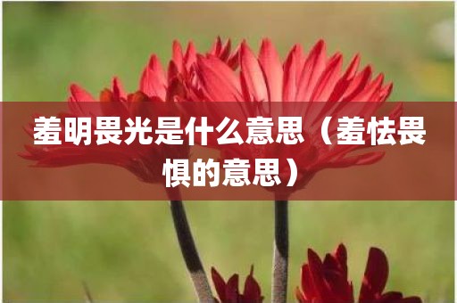 羞明畏光是什么意思（羞怯畏惧的意思）