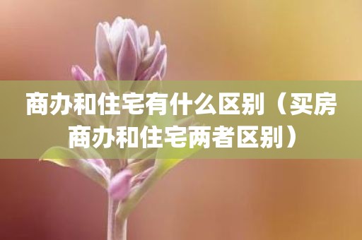 商办和住宅有什么区别（买房商办和住宅两者区别）