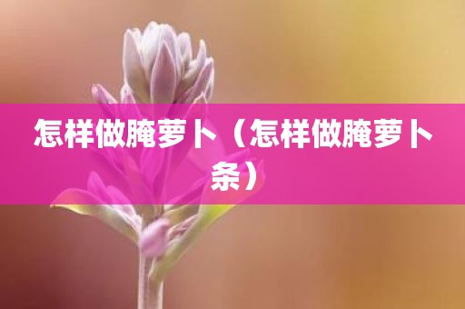 怎样做腌萝卜（怎样做腌萝卜条）