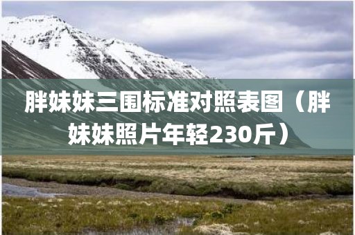 胖妹妹三围标准对照表图（胖妹妹照片年轻230斤）