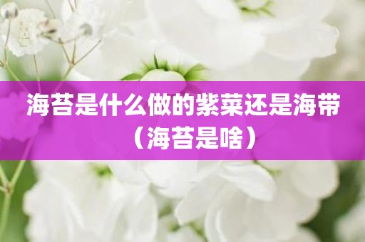 海苔是什么做的紫菜还是海带（海苔是啥）