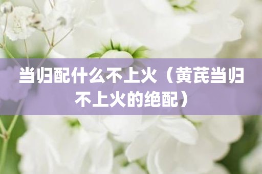 当归配什么不上火（黄芪当归不上火的绝配）
