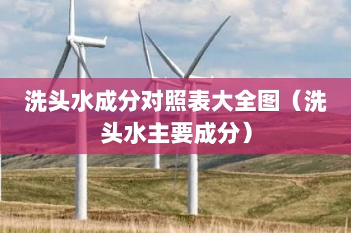 洗头水成分对照表大全图（洗头水主要成分）