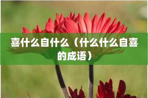 喜什么自什么(什么什么自喜的成语)