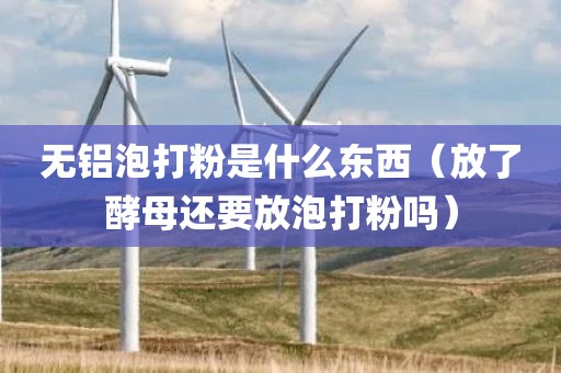 无铝泡打粉是什么东西（放了酵母还要放泡打粉吗）