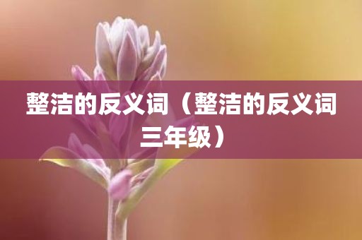 整洁的反义词（整洁的反义词三年级）