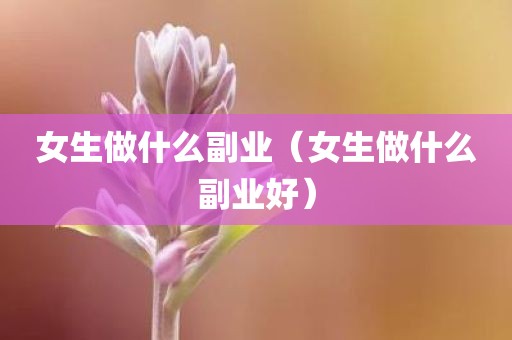 女生做什么副业（女生做什么副业好）