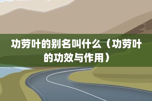 功劳叶的别名叫什么（功劳叶的功效与作用）