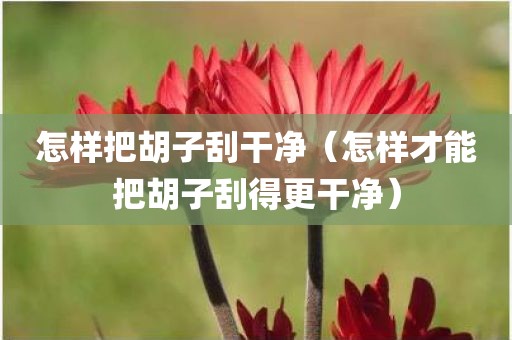 怎样把胡子刮干净（怎样才能把胡子刮得更干净）