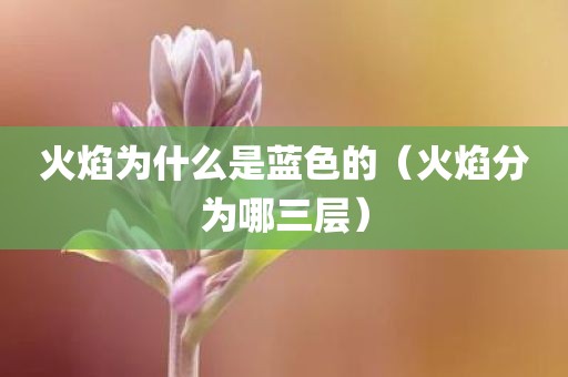 火焰为什么是蓝色的（火焰分为哪三层）