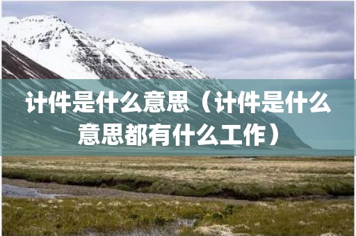 计件是什么意思(计件是什么意思都有什么工作)